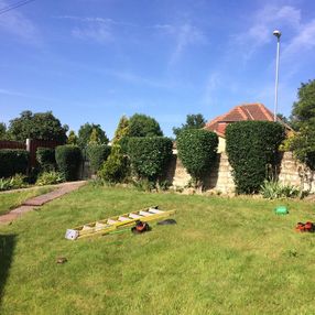 tree surgeon