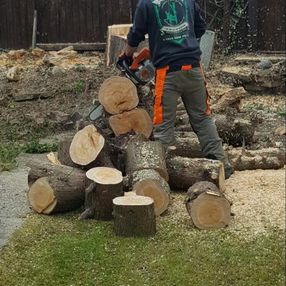 tree surgeon