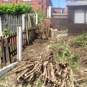 tree surgeon